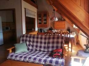 Dúplex espacioso y con chimenea Isard 2